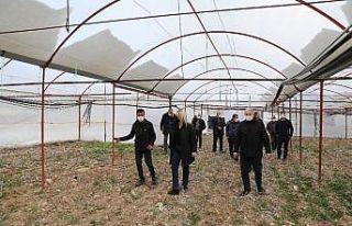 Tarıma akıllı dijital takip geliyor