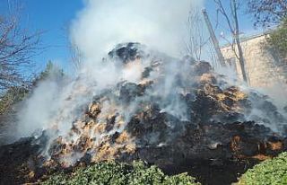 Tarsus’ta 30 ton saman kül oldu