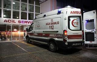 Tartıştığı amcaoğlunu silahla yaraladı