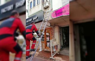 Tavan arasında mahsur kalan yavru kediyi itfaiye...