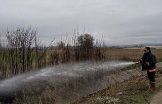 Tavşanlı’da arazi yangını