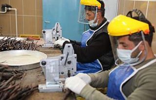 Tokat bağ yaprağı fidanı taleplerine yetişmeye...