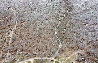 Toros Dağlarında yağışlar sonrası akan sular...