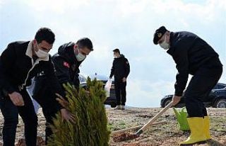 Trafik kazası sonrası yanan ormanlık alana 2 bin...