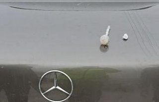 Trafik uygulamasında aranması çıktı gözaltına...