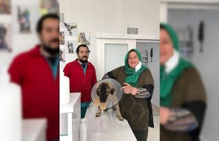 Traktörün çarptığı köpeğin ameliyat masraflarını...