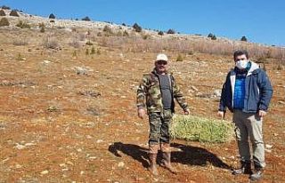 Tufanbeyli’de yaban hayatı için seferberlik