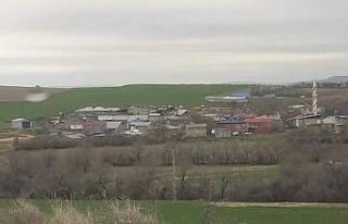 Tunceli’de bir köy mutasyonlu virüs nedeniyle...