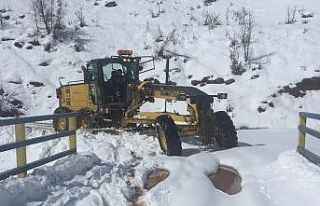 Tunceli’de karla kapan 120 köy yolu açıldı,...