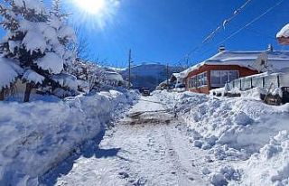 Tunceli’de karla kapanan tüm köy yolları açıldı