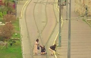 Turistlerin, tramvay yolunda canlarını hiçe saydıkları...