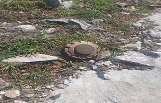 Türk Silahlı Kuvvetlerinden terör örgütü PKK’ya...