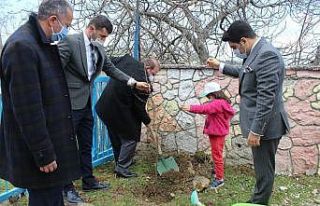 Türkeli’de Orman Haftası etkinlikleri