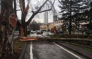 Türkiye Büyük Millet Meclisi bahçesine yıldırım...