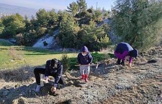 Türkiye’nin en uzun lavanta yolu Manisa’da yapılacak