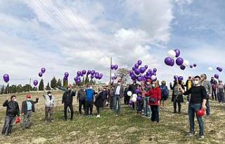 Türkiye’nin en uzun lavanta yolunda dikim başladı