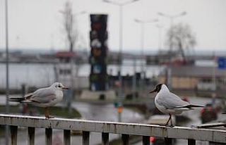 Vaka sayısı artan Zonguldak’ta sessizlik hakim
