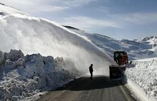 Van-Bahçesaray yolu ulaşıma açıldı