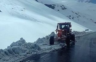 Van’da 165 yerleşim yeri ulaşıma kapandı