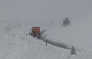 Van’da iki mevsim bir arada yaşanıyor