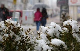 Van’da mart kapıdan baktırdı