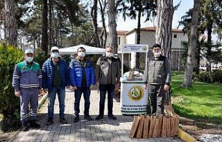 Vatandaşlara ücretsiz fidan dağıtıldı