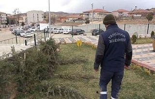 Vicdansızlığın böylesi görülmedi: Parktaki...