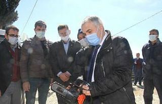 Yabani ahlat ağaçları ekonomiye kazandırılacak