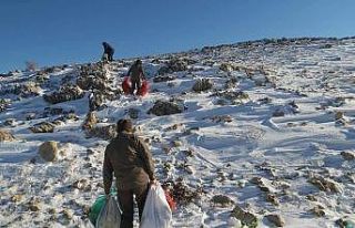 Yabani hayvanlar için Nemrut Dağına yem bırakıldı