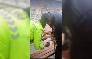 Yaralı köpeğe polis şefkati