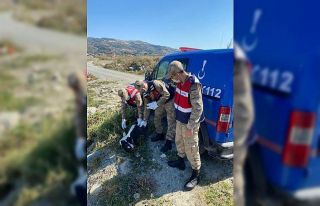 Yaralı leyleğe jandarmadan şefkat eli