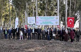 Yaşlılar Haftası’nda Tarsus’ta ağaç dikildi