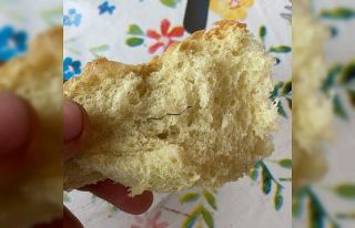 Yediği ekmekten çıkan tel hastanelik etti