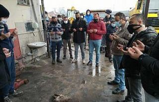 Yeni alınan araçlar için  kurban kesildi