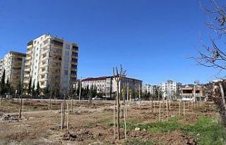 Yeni mahalleye ‘Mahalle Bahçesi’ yapıldı