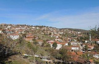 Yenice’de bir köy karantinaya alındı