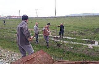 Yeniköy Mahallesi imeceyle 83 pavlonya fidanı dikti