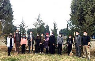 Yenişehir yeşillenecek