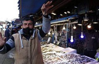 Yerli hamsi bu yıl ilk kez tezgâhlarda yerini aldı...