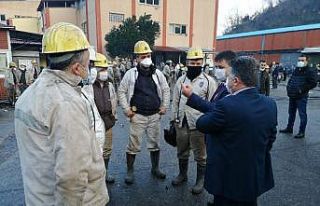 Yeşil, Madenciyi bilgilendirmeye devam ediyor