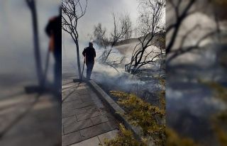 Yeşilhisar’daki yangında 10 ağaç kül oldu