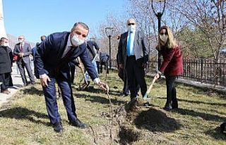 Yeşilırmak yerleşkesinde fidanlar toprakla buluştu