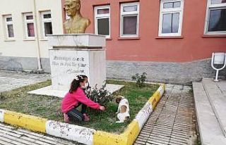 YİBO öğrencileri sahiplendikleri sokak köpeğine...