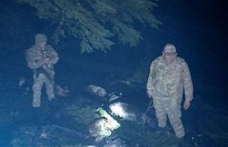 Yıldırım düştü 41 hayvan telef oldu