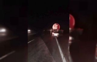 Yola çıkan başıboş eşek kazaya neden oldu: 2...