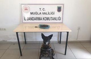 Yolcunun yastığından uyuşturucu çıktı