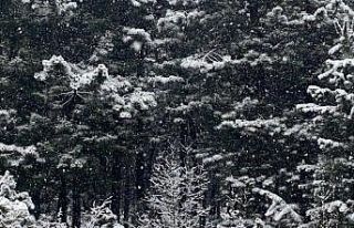 Yüksek kesimlerde kar yağışı devam ediyor