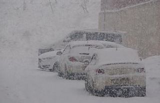 Yüksekova’da yoğun kar yağışı