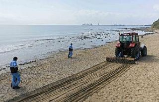 Yumurtalık, Gölovası ve Zeytinbeli sahilleri temizleniyor