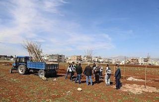 Yunus Emre mahallesine en büyük bahçe